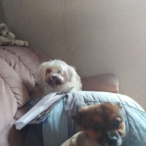 Meet your Posher, Katherine